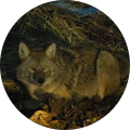 ChIJF GLusa1CIgRLQNapVH8jhU c7fca8d43894eef396a76e1a44b4c4bc